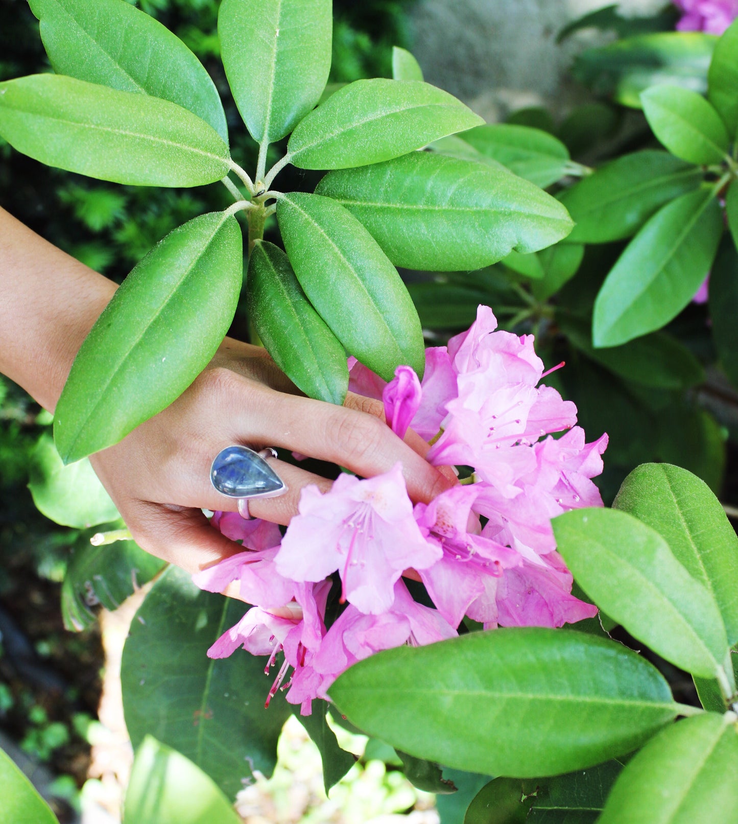 Awakening Ring - Luni