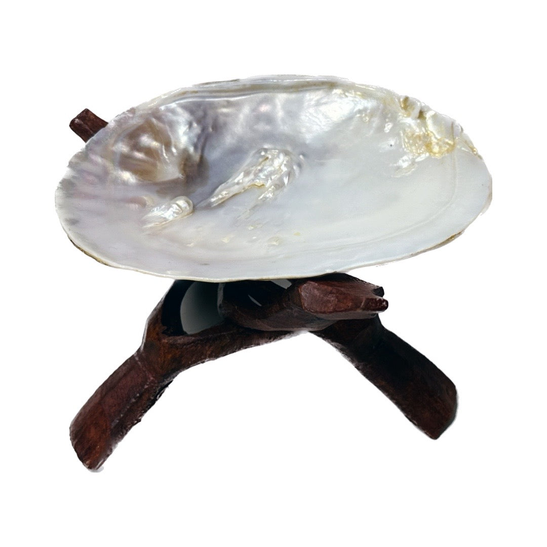 Radiant Pearl Clam Smudging Shell