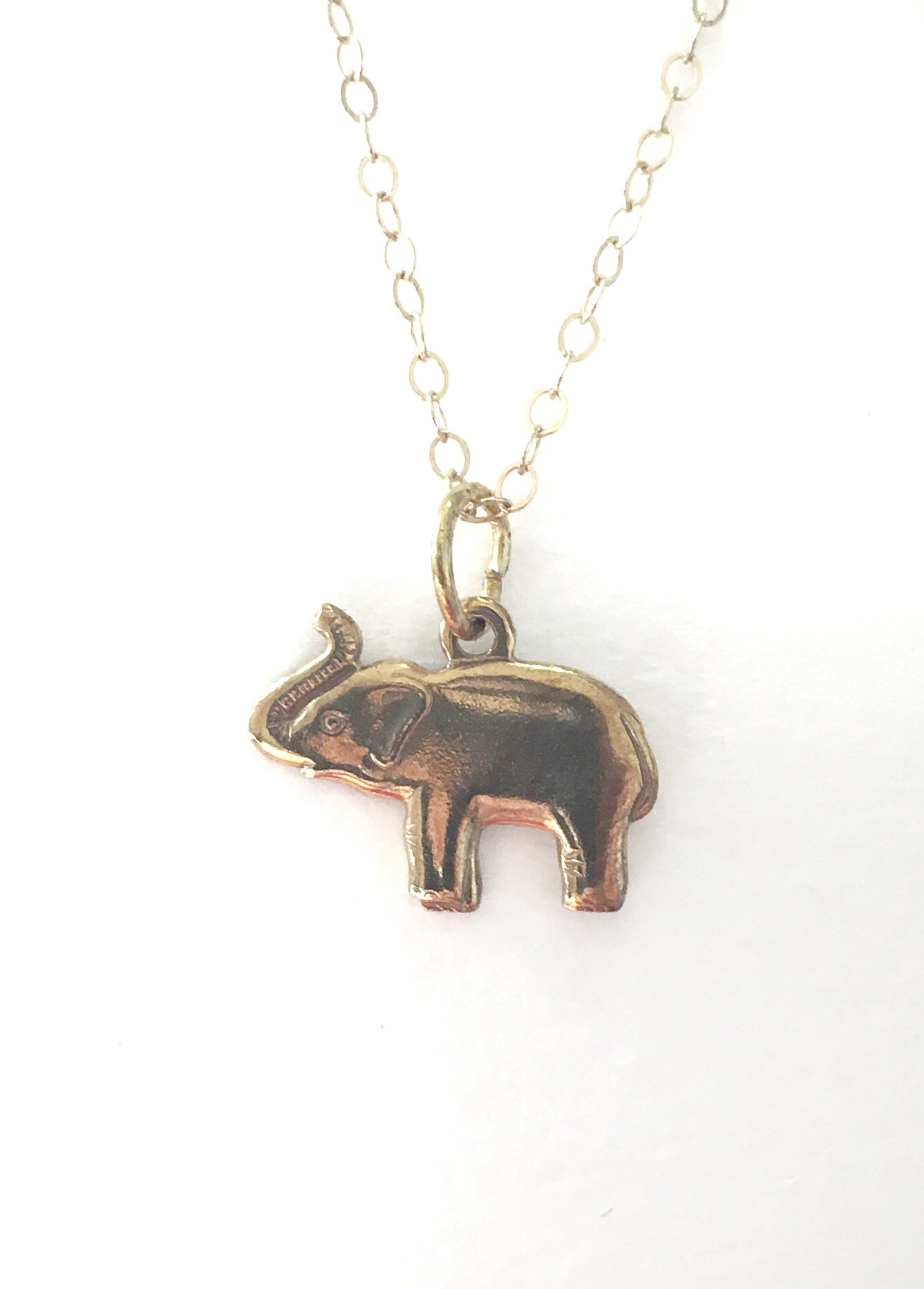 Animal Lovers Charm Necklace - Luni