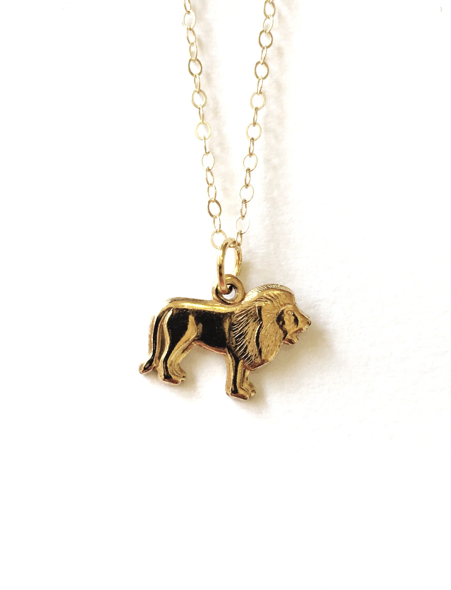 Animal Lovers Charm Necklace - Luni